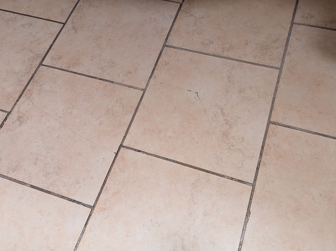 Holiday Inn Express & Suites Texarkana East by IHG主图