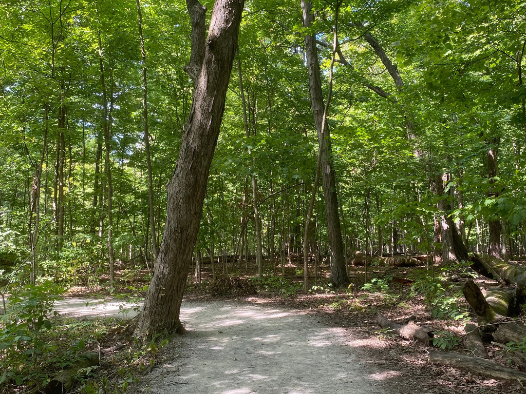 Char-mar Ridge Park-韦斯特维尔必去景点