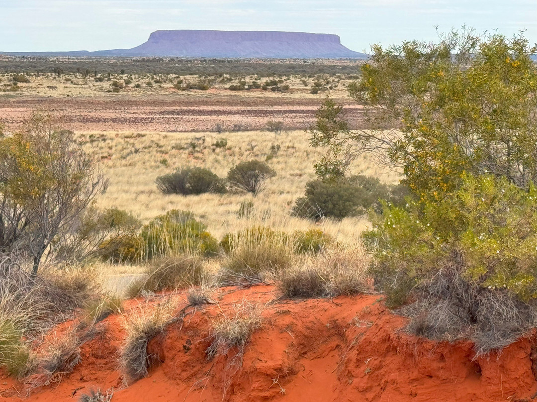Mount Conner-West MacDonnell National Park必去景点
