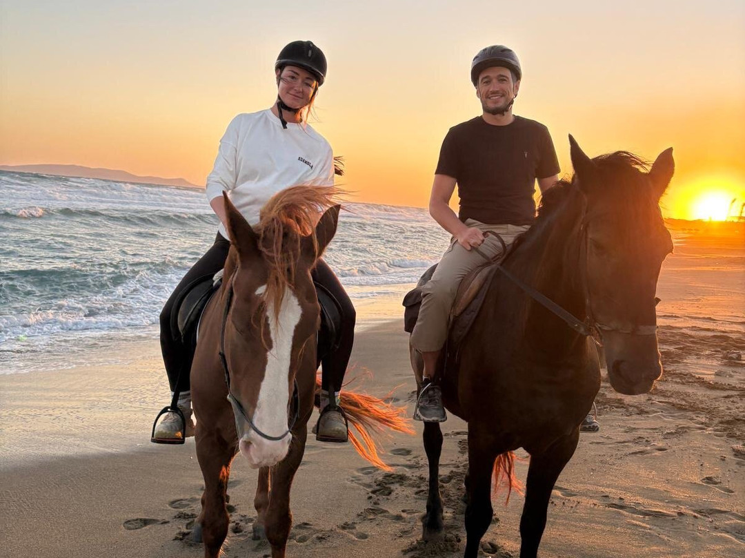 Hersonissos Horseriding-Finikia必去景点