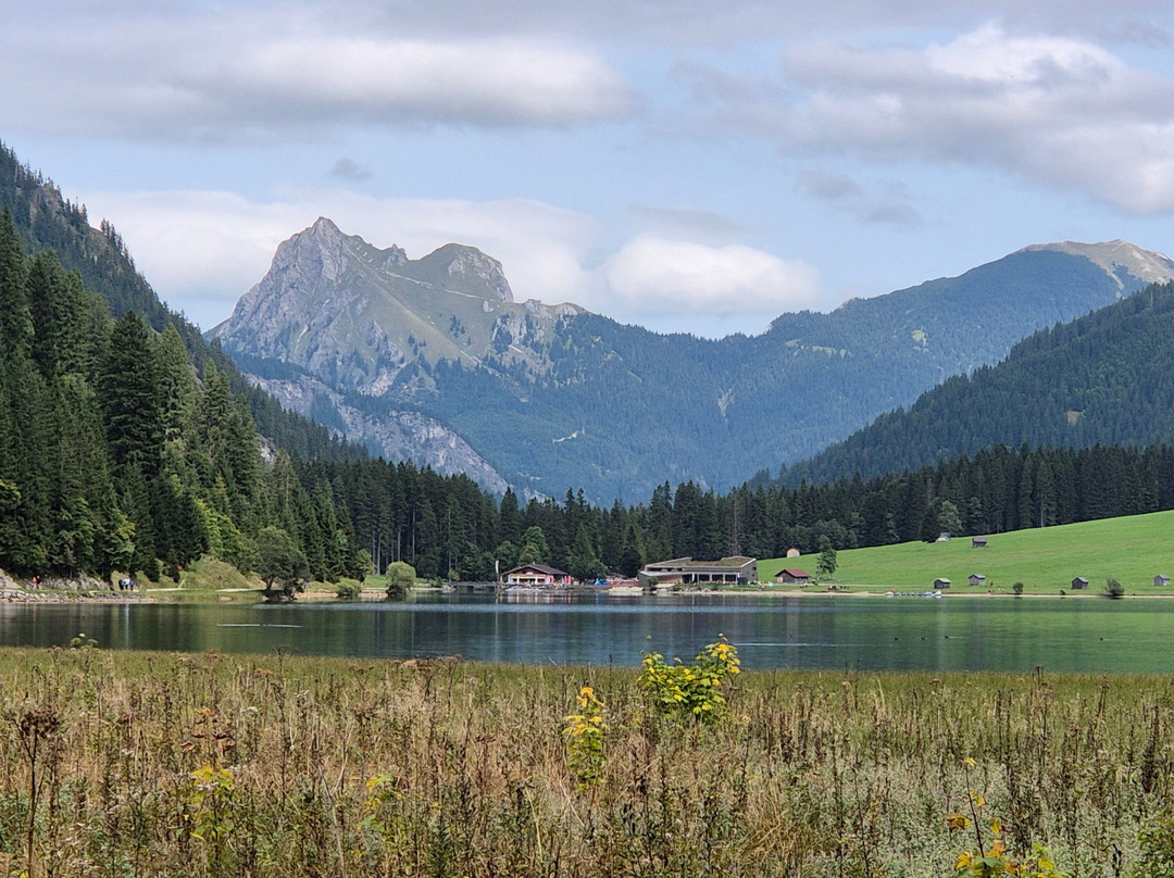 Gästehaus - Apart Braito主图