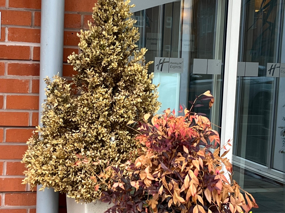 快捷假日雷迪奇酒店主图