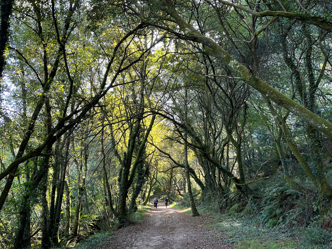 Tee Travel-圣地亚哥德孔波斯特拉必去景点