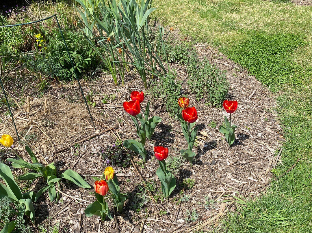 Wild Meadows Garden Little Hartley Nsw-Little Hartley必去景点