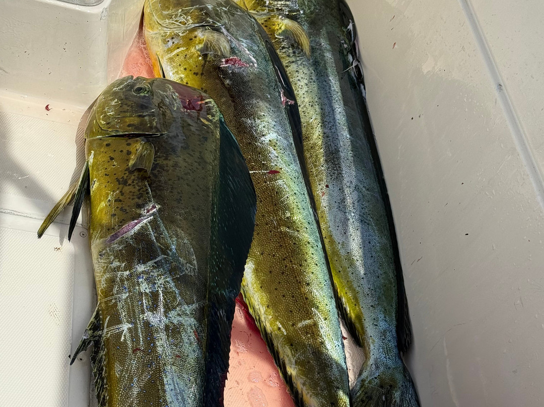 Samara Deep Sea Fishing And Lodge-萨玛拉滩必去景点