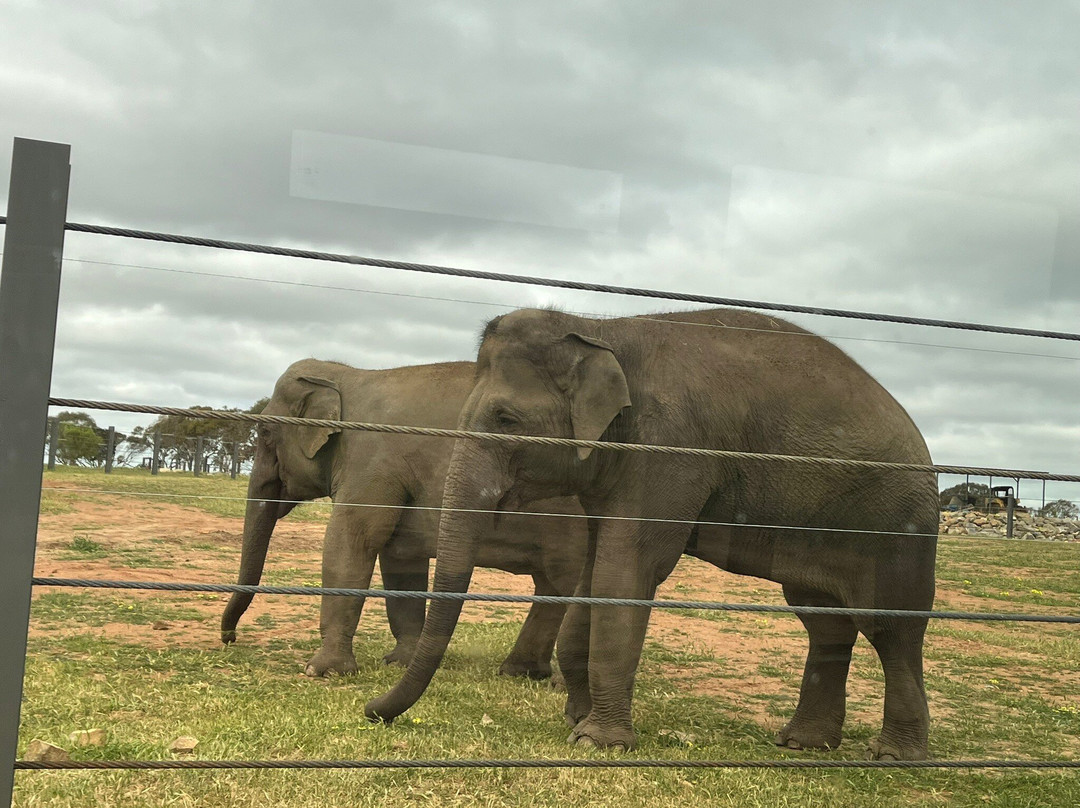 Monarto Safari Park-Monarto必去景点