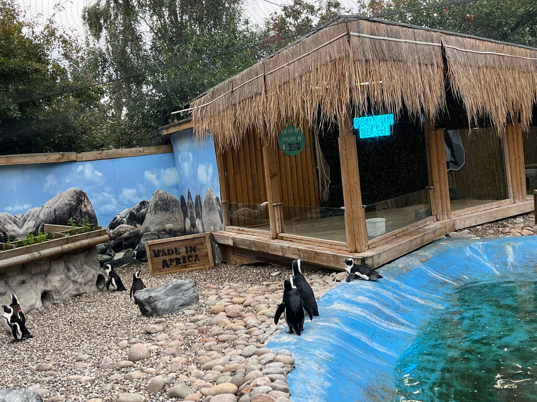 Call Of The Wild Zoo-South Woodham Ferrers必去景点