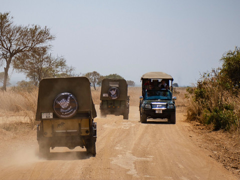 Likizovibes & Adventures