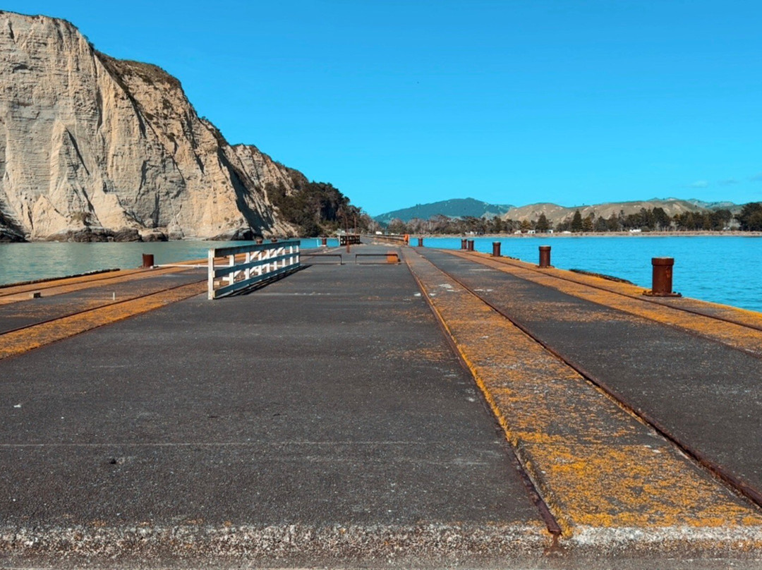 Tolaga Bay Historic Wharf-Tolaga Bay必去景点