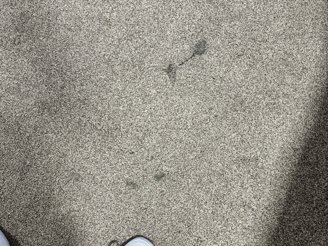 The Charles Hotel主图