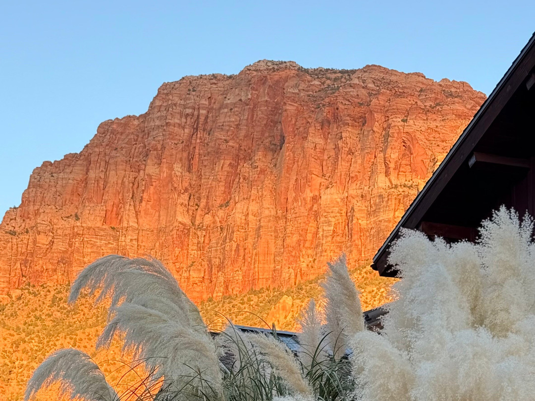 Dulivia Restaurante Italiano