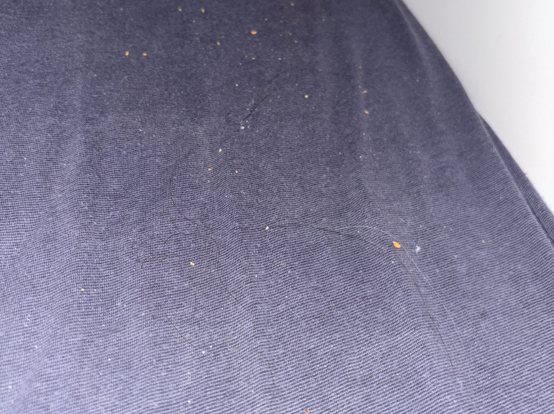 斯堪的纳维亚卡宾酒店主图