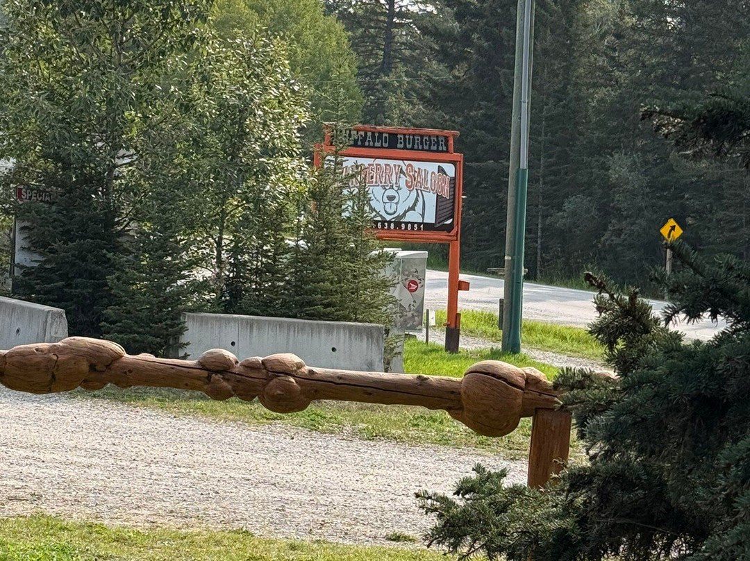 Bearberry Saloon-桑德必去景点