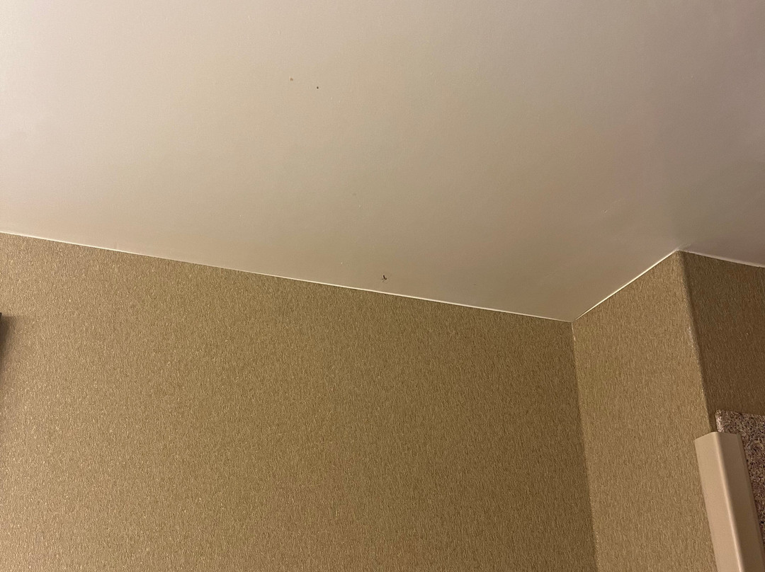 Wingate by Wyndham Coon Rapids主图