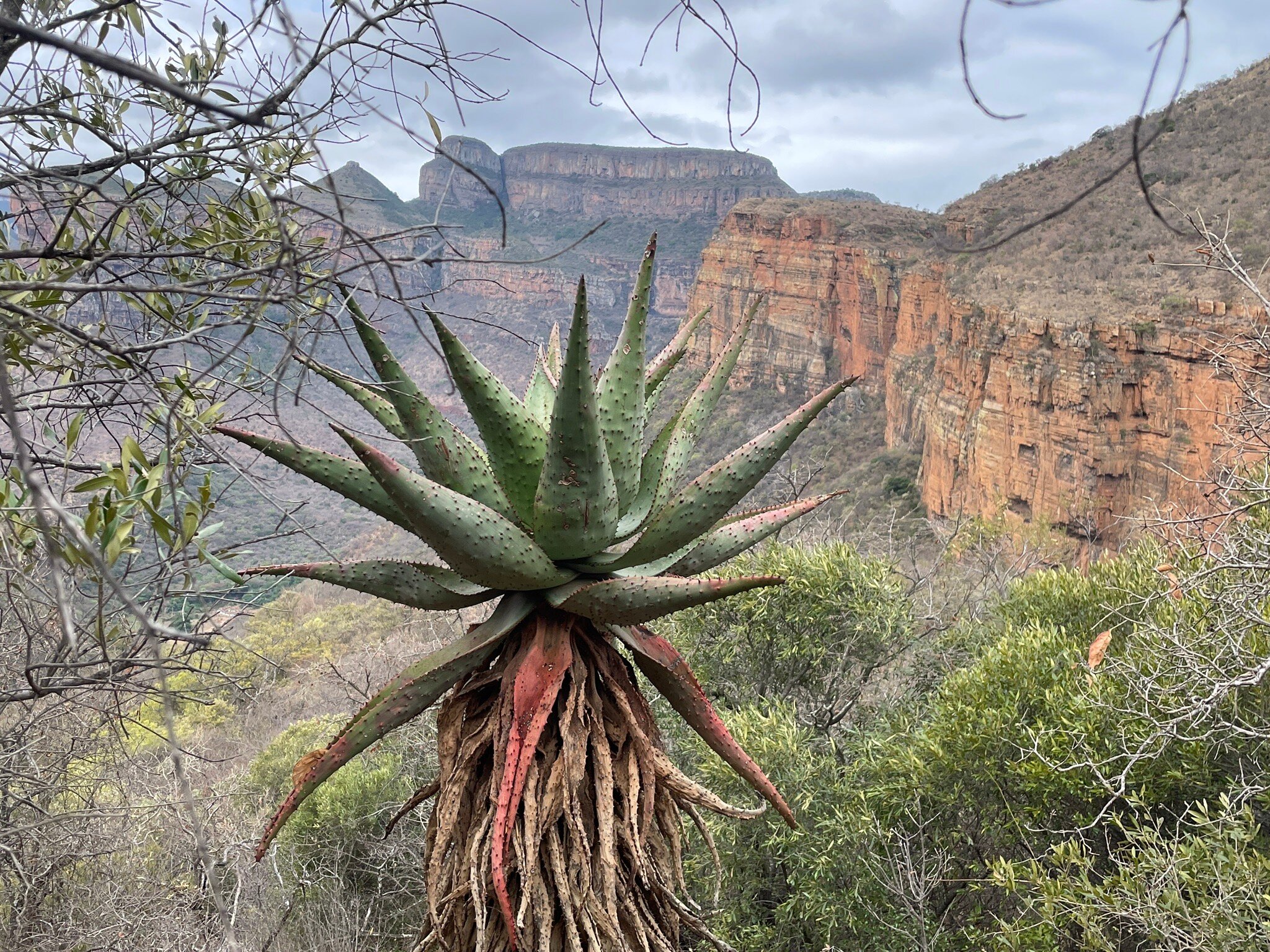 Blyde Canyon, A Forever Resort-官方