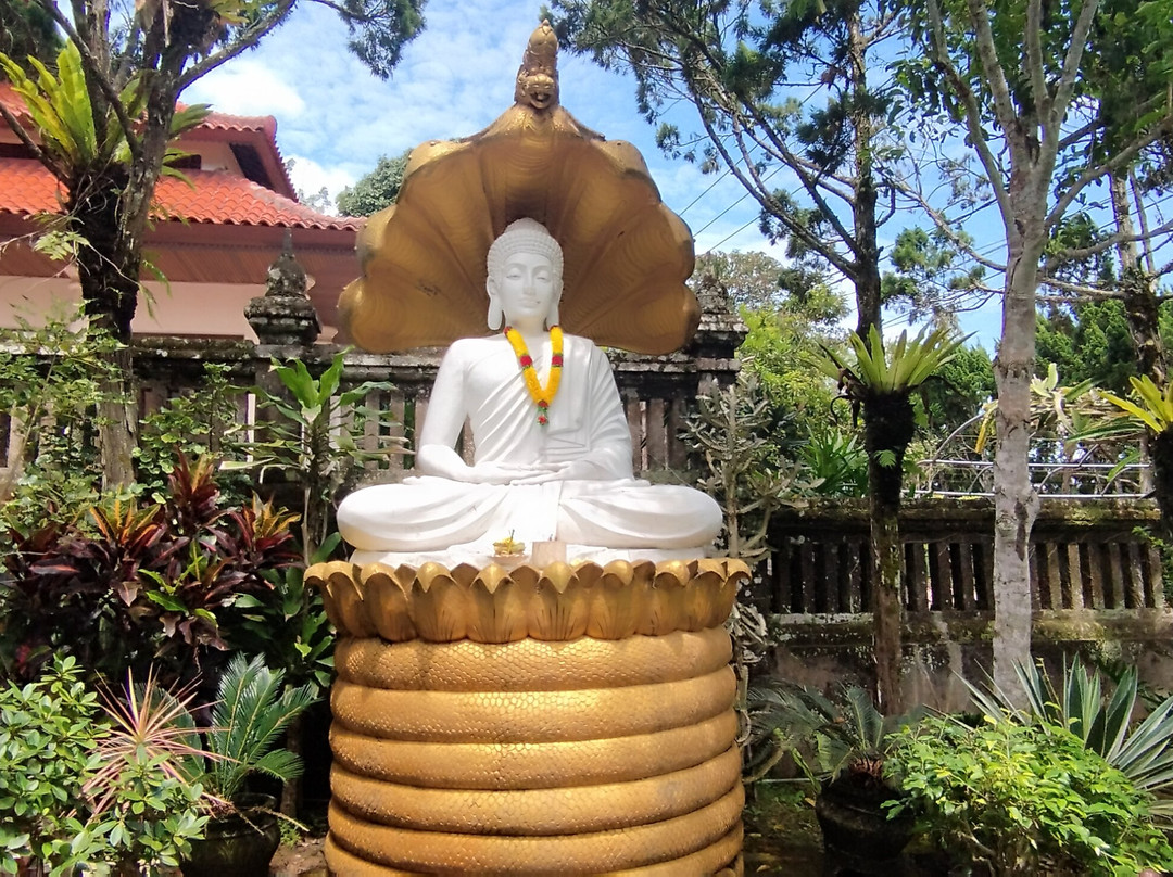 Bli Gojink Bali Professional Bali Driver-新加拉惹必去景点