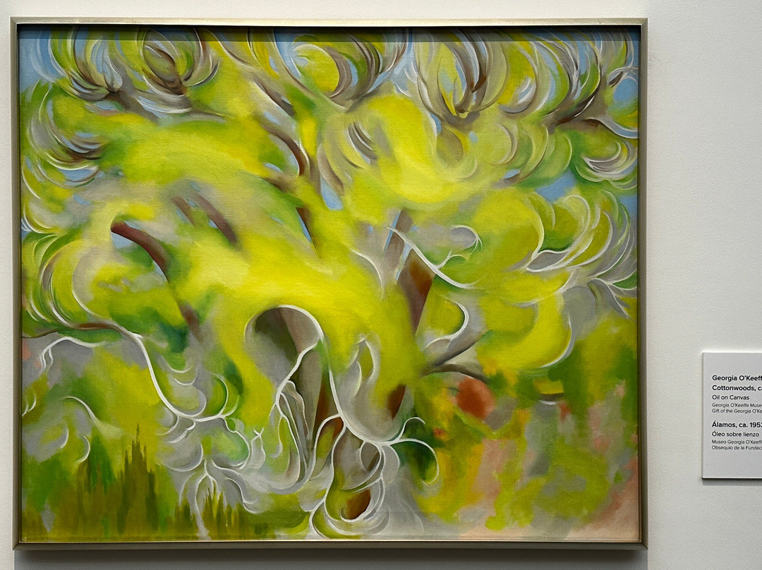 Georgia O'Keeffe Museum-圣菲必去景点