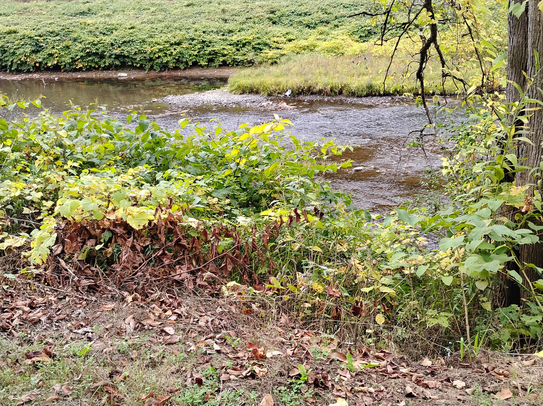 Ole Covered Wagon Tours-Wellsboro必去景点