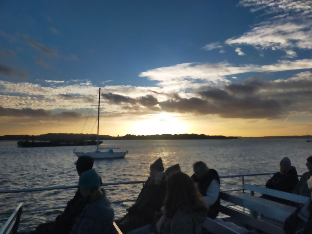 Birds Of Poole Harbour Events-普尔必去景点
