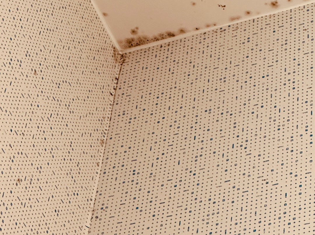 Holiday Inn Express & Suites Richwood - Cincinnati South by IHG主图