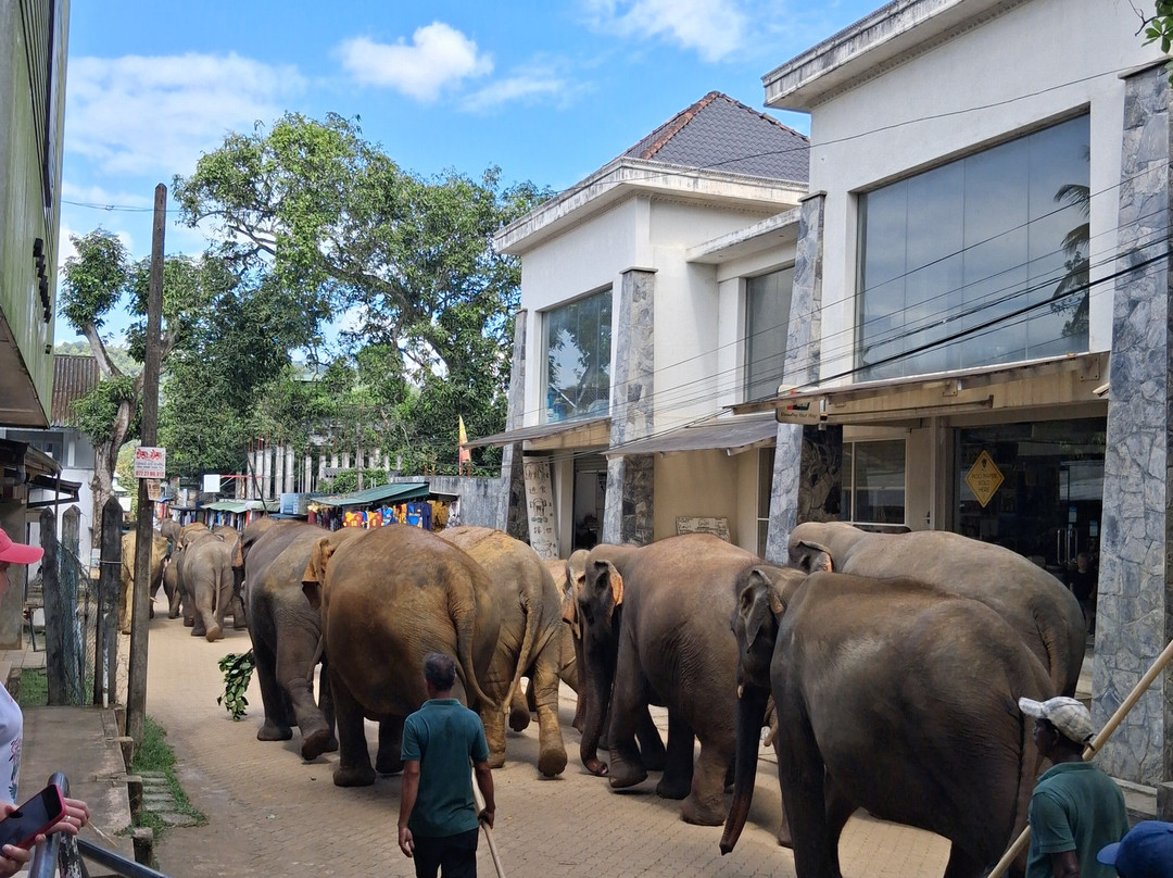 See Lanka Travels-Waikkal必去景点