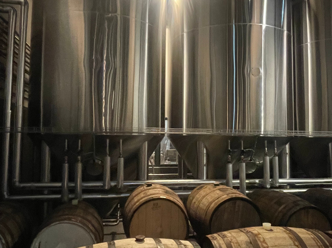 FIRST Craft Beer Brewery & Taproom-布达佩斯必去景点