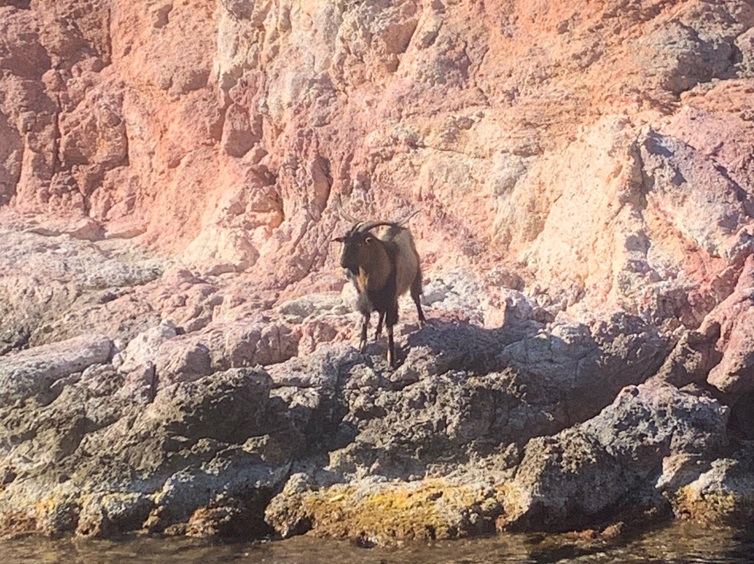 Aegeas Cruises-Platis Gialos必去景点