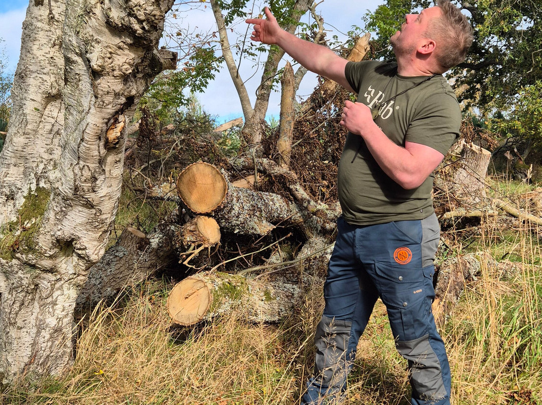 Northern Woodcraft-Holystone必去景点