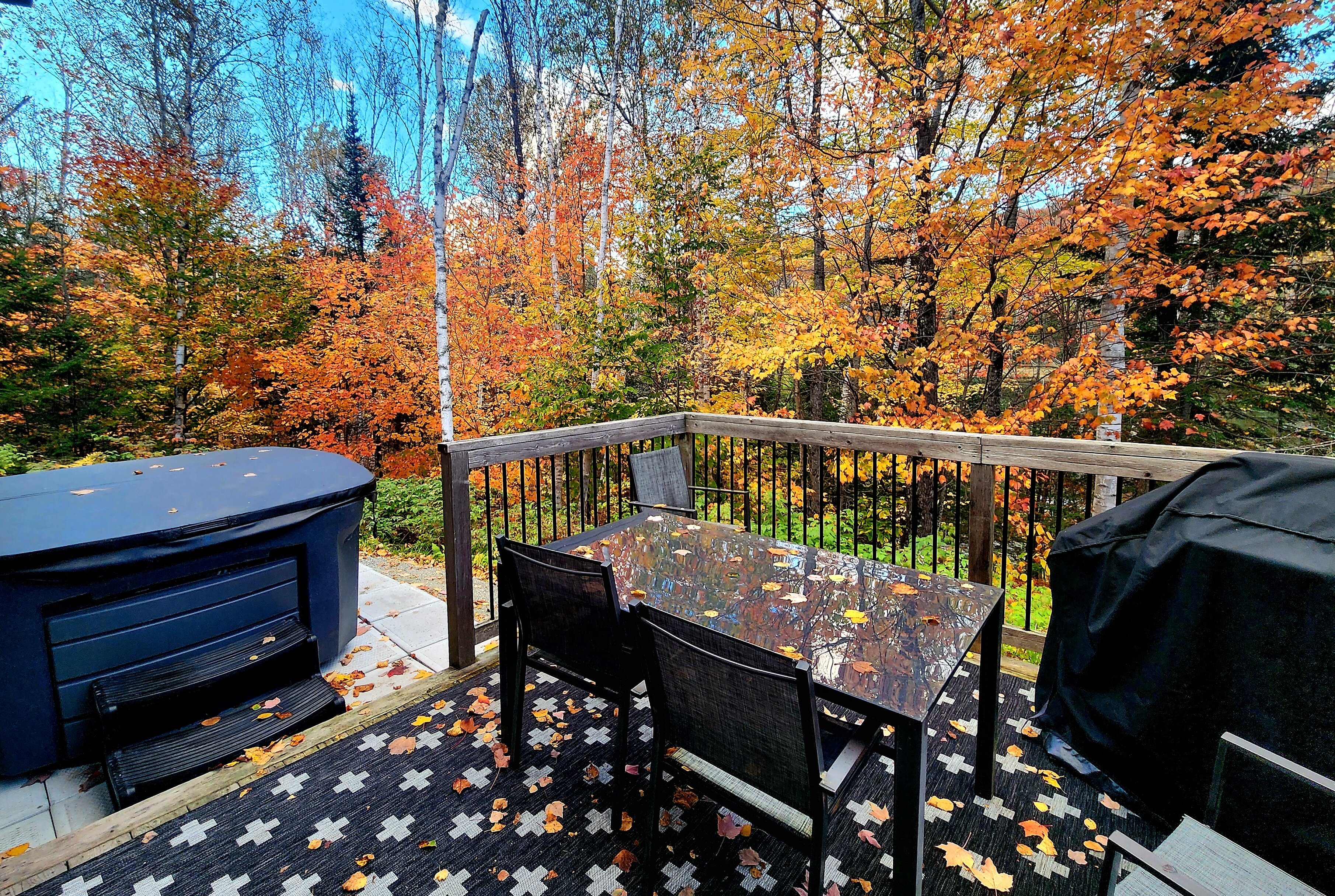 Bel Air Tremblant Resort-酒店景观