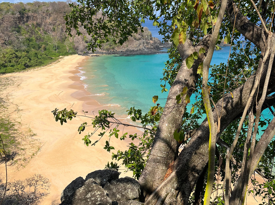 Noronha Tour-费尔南多-迪诺罗尼亚群岛必去景点