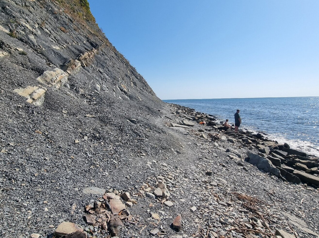 Central Beach-Arkhipo-Osipovka必去景点