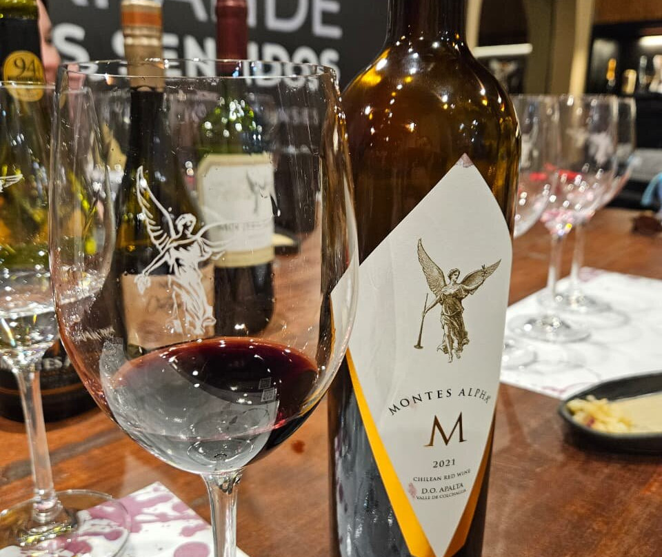 Colchagua Wine Tours-圣克鲁斯必去景点