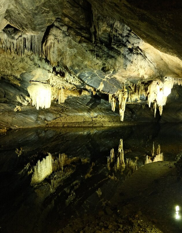 Domaine Des Grottes De Han-Han-sur-Lesse必去景点