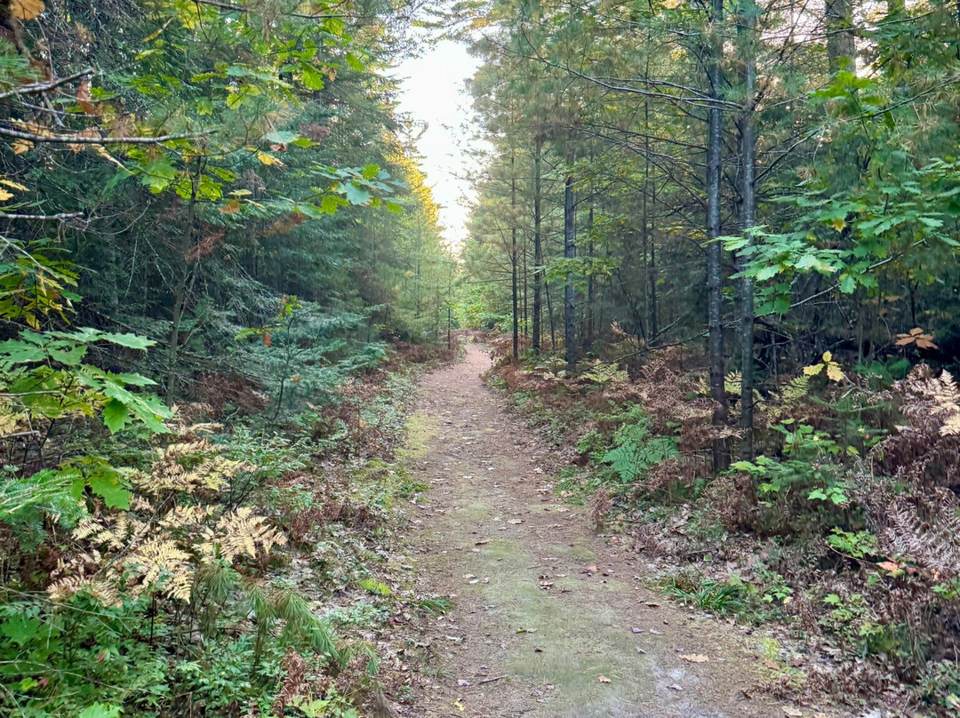 Wilderness State Park-Carp Lake必去景点