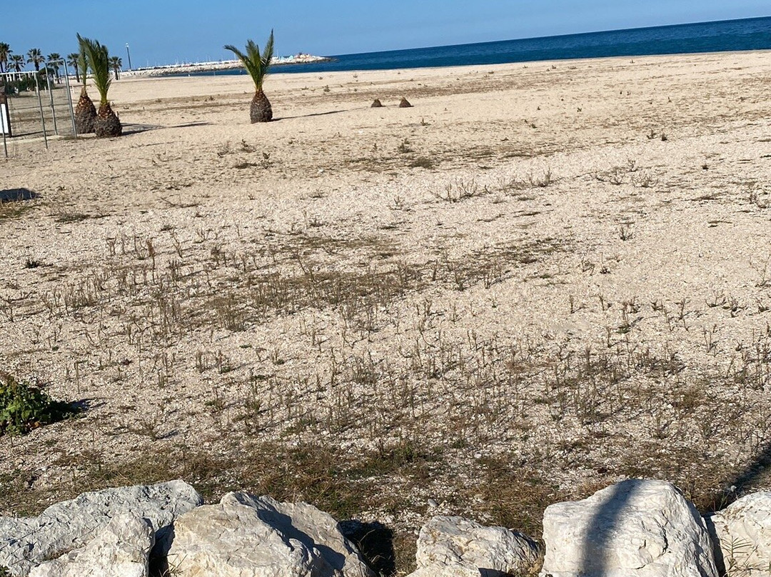 Civitanova Marche Turismo-奇维塔诺瓦-马尔凯必去景点
