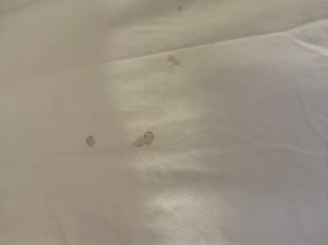 纽约拉瓜迪亚机场/法拉盛费尔菲尔德万豪酒店主图