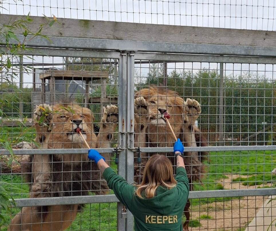 Wolds Wildlife Park-Horncastle必去景点