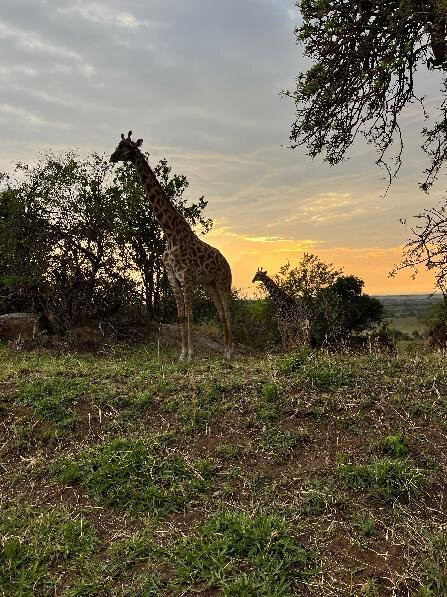 Africa Eco Expeditions Camp at Lobo Valley-Ikoma必去景点