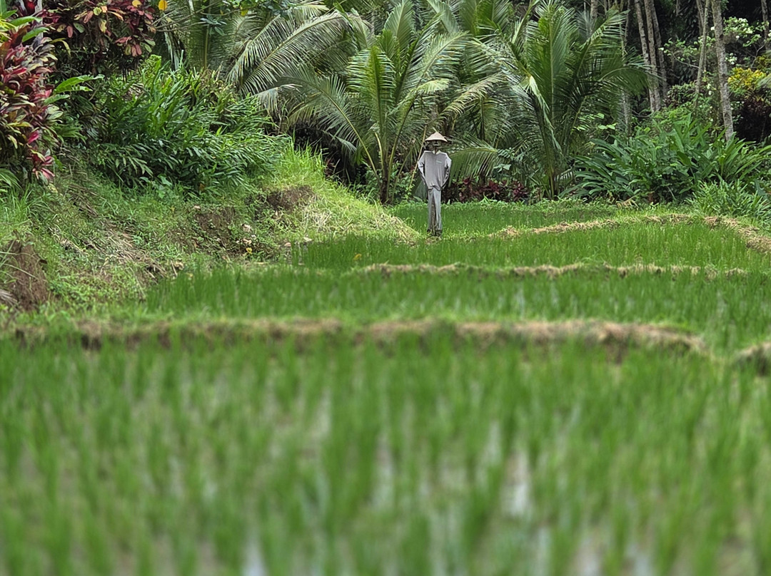 Plantage de Grote Tuin-Kalibaru必去景点