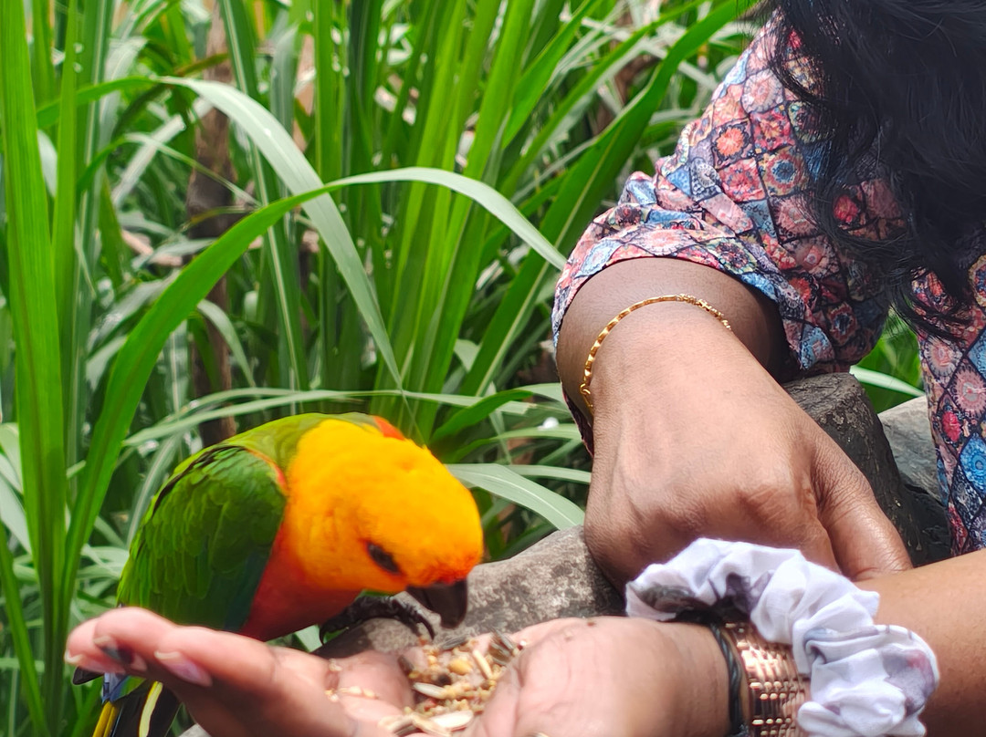 Fundera Park-Yelagiri必去景点