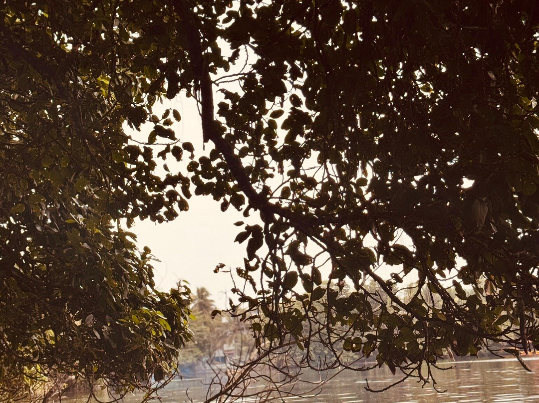 Kayak Advanture Rathgama Lake-Rathgama必去景点