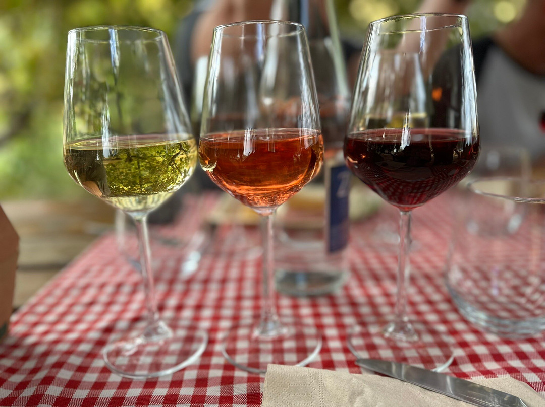 Lyrarakis Winery-伊拉克利翁必去景点
