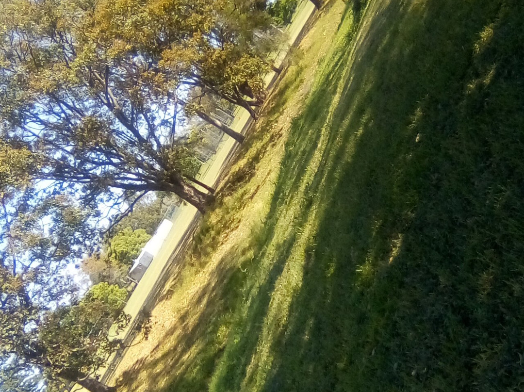 Walkway Spring Creek-Beaudesert必去景点