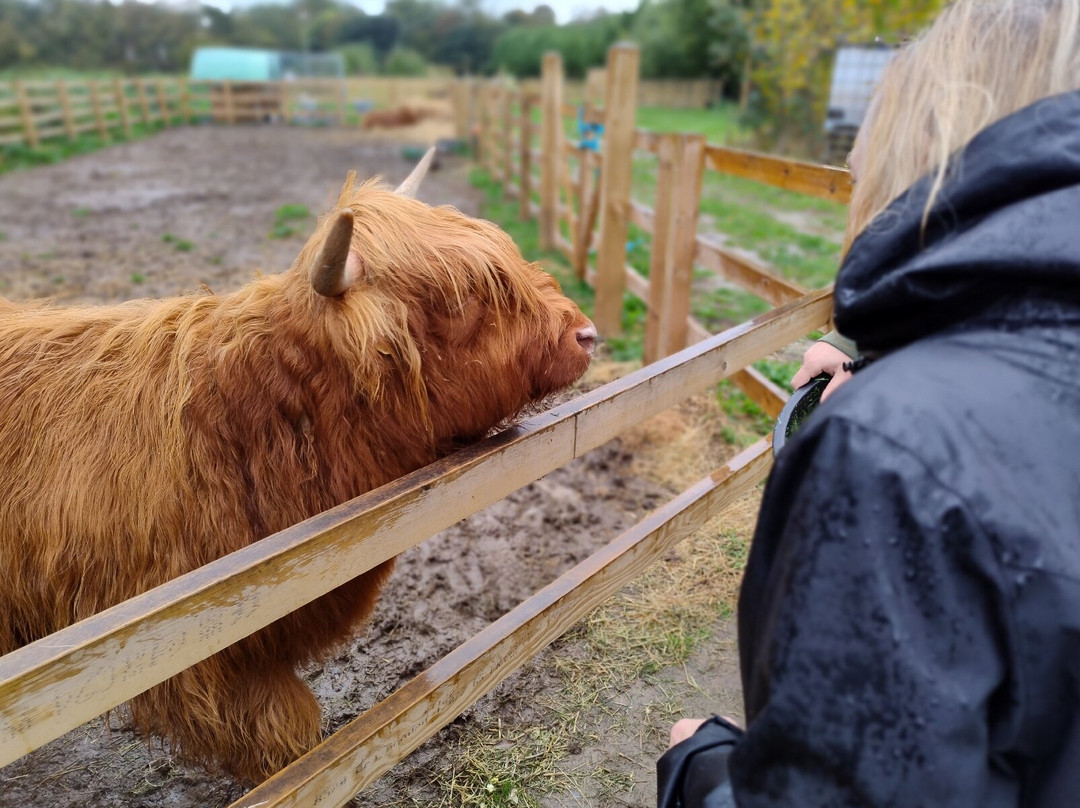 Quex Adventure Farm Park-Birchington必去景点