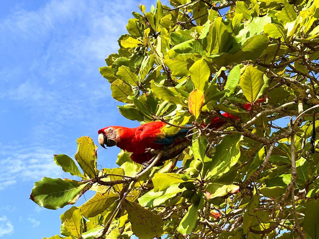 Pura Vida Experiences-Playa Hermosa必去景点