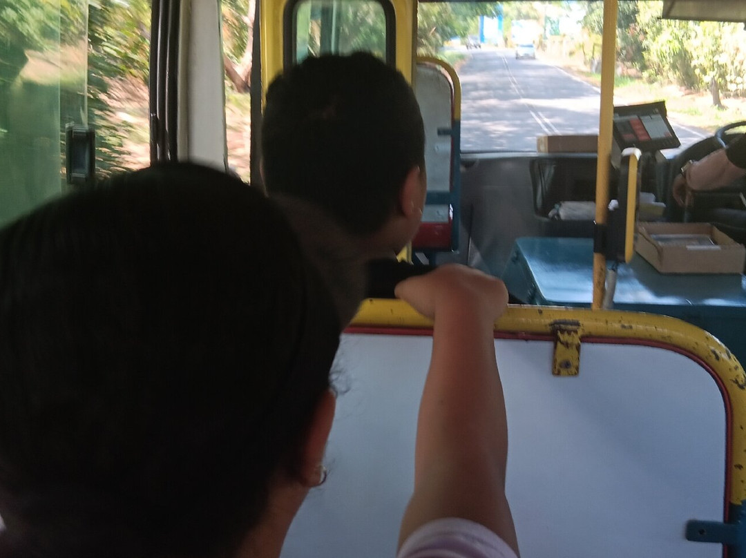 Westbus-纳迪市必去景点