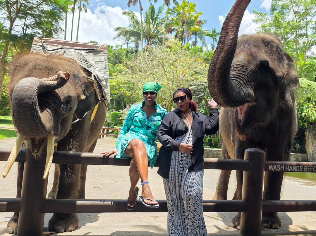 Bali Customized Tours-Batubulan必去景点