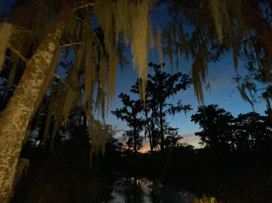 Airboat Tours-Des Allemands必去景点