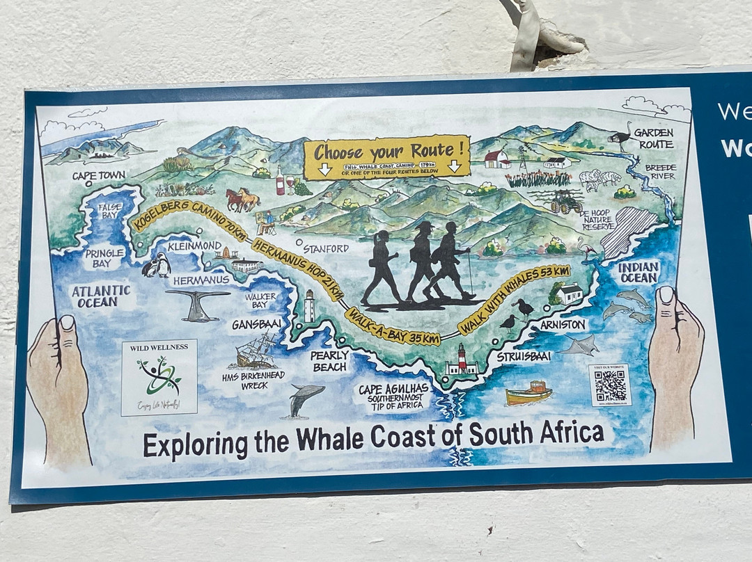 Wild Wellness-赫曼努斯必去景点