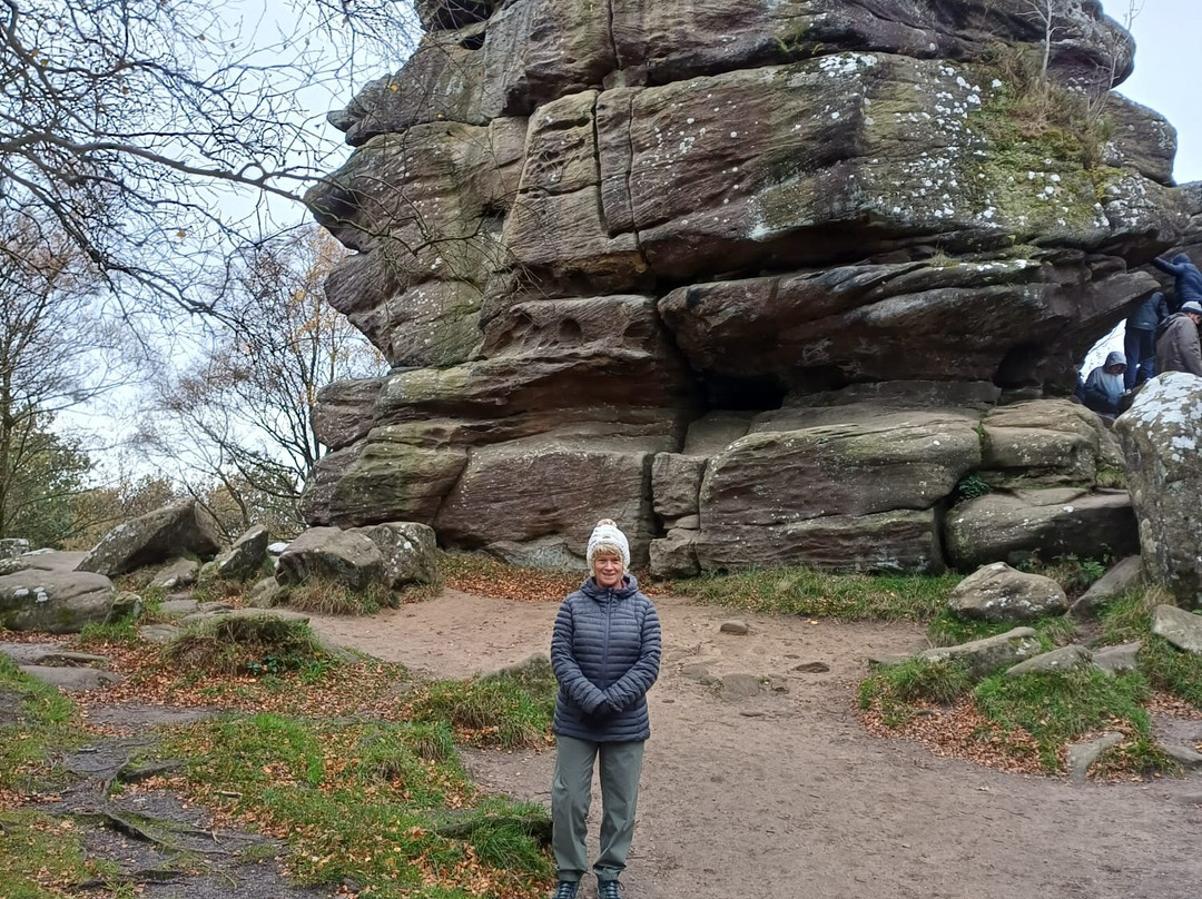 Brimham Rocks-哈罗盖特必去景点